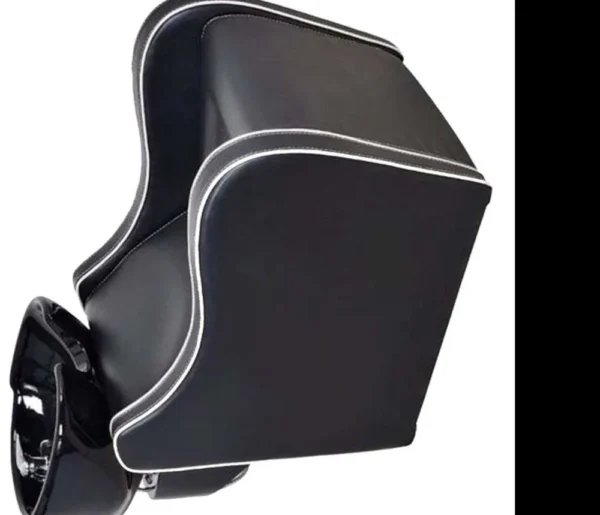 Shampoo Station chair