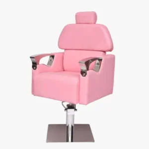 Beauty Parlour Chair