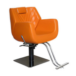 Salon Chair
