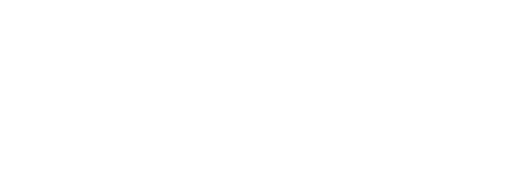 dynamic logo
