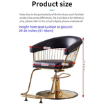 Hairdressers Styling Chair Adjustable multifunctional Customers Chair - Image 6