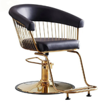 Hairdressers Styling Chair Adjustable multifunctional Customers Chair