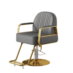 Hydraulic Salon Chair