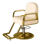 Hydraulic Salon Chair
