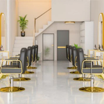 Hydraulic Salon Chair