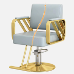 Modern All Purpose Hydraulic Styling Chair - Image 5