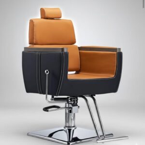 Luxury Hydraulic Salon Styling Chair with Headrest & Footrest | Premium Salon Chair