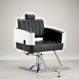 Professional Hydraulic Salon Styling Chair with Footrest & Adjustable Headrest