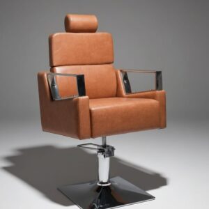 Premium Hydraulic Salon Styling Chair with Adjustable Headrest & Chrome Armrests