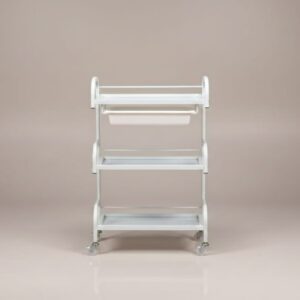 Professional Beauty Salon Storage Trolley with Wheels | Salon Equipment Cart